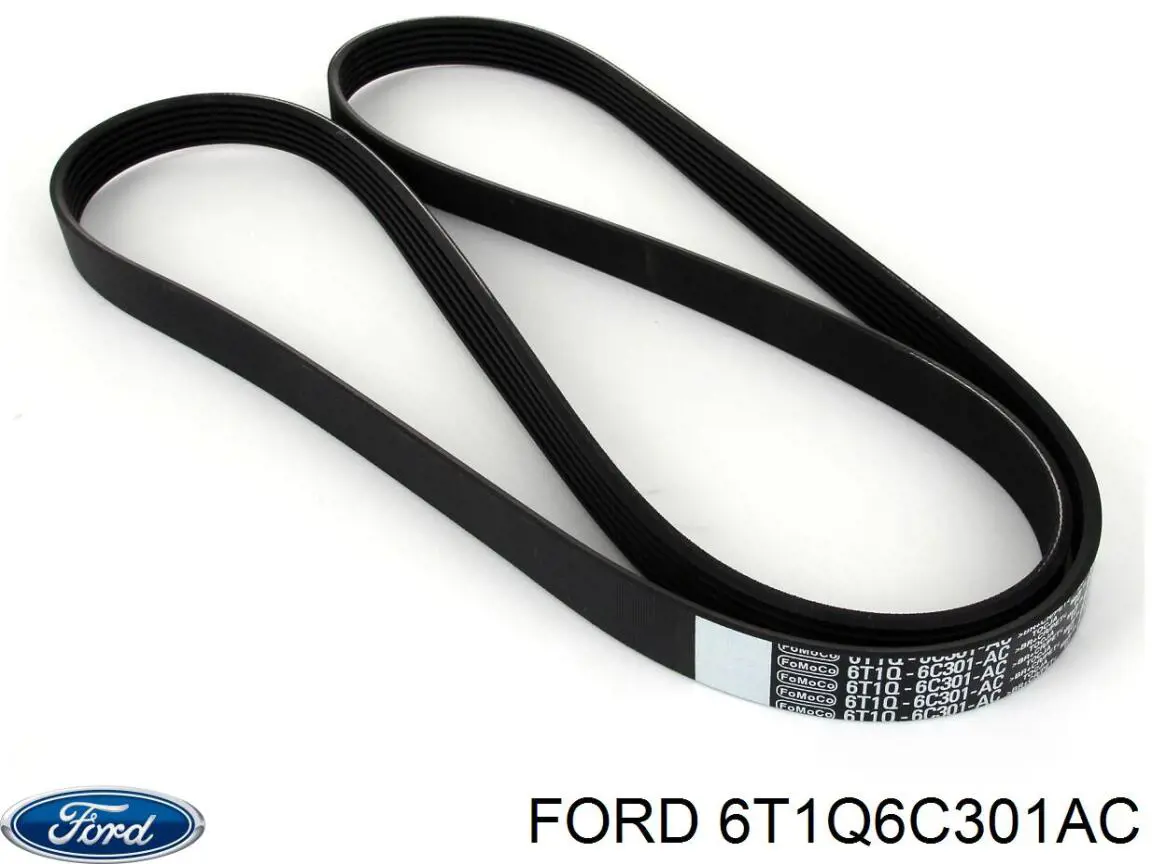 Клиновий ремінь Ford 6T1Q6C301AC ціна, від 16.35 USD