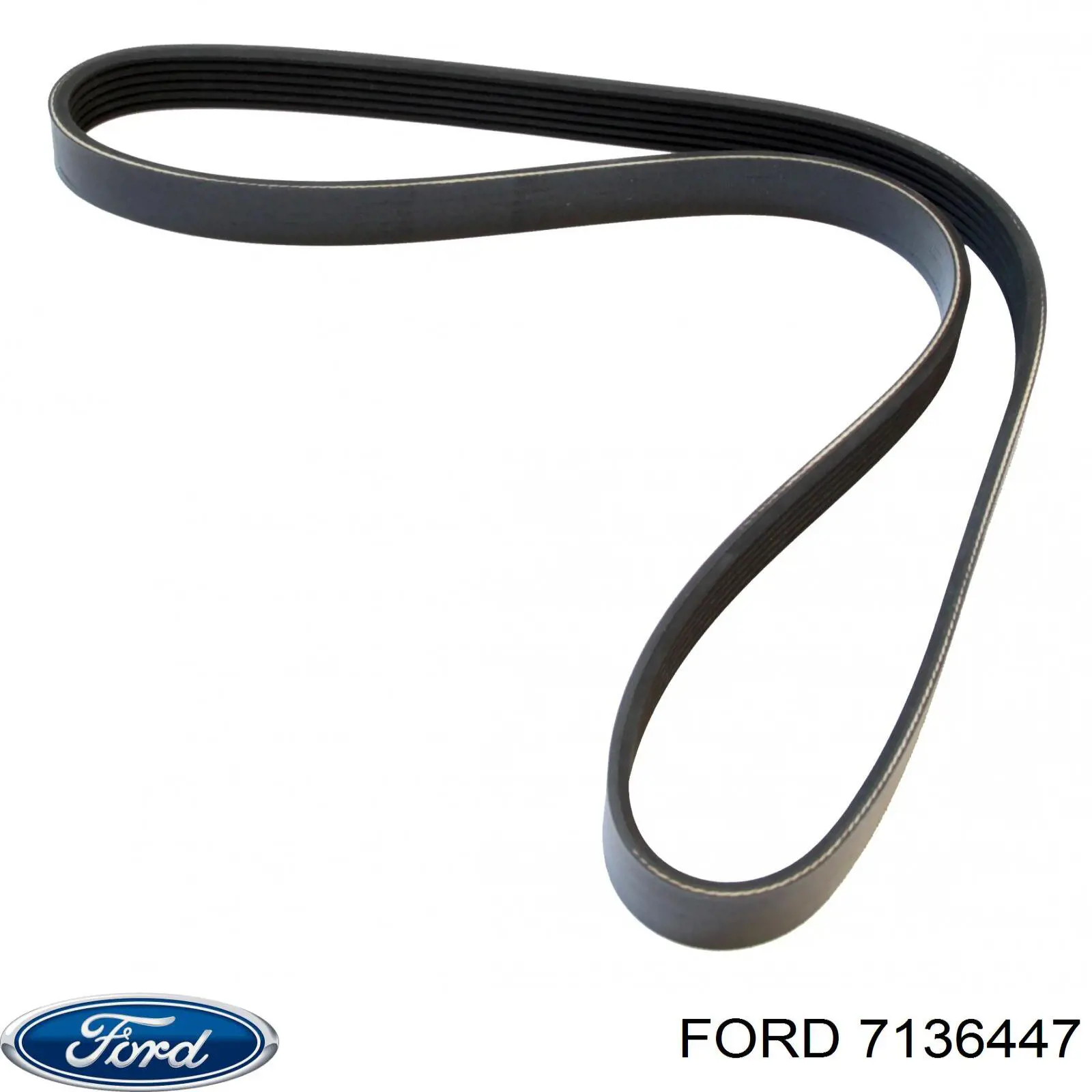  7136447 Ford