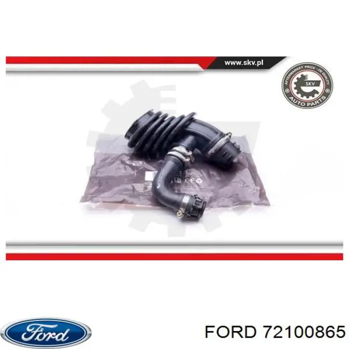 72100865 Ford 