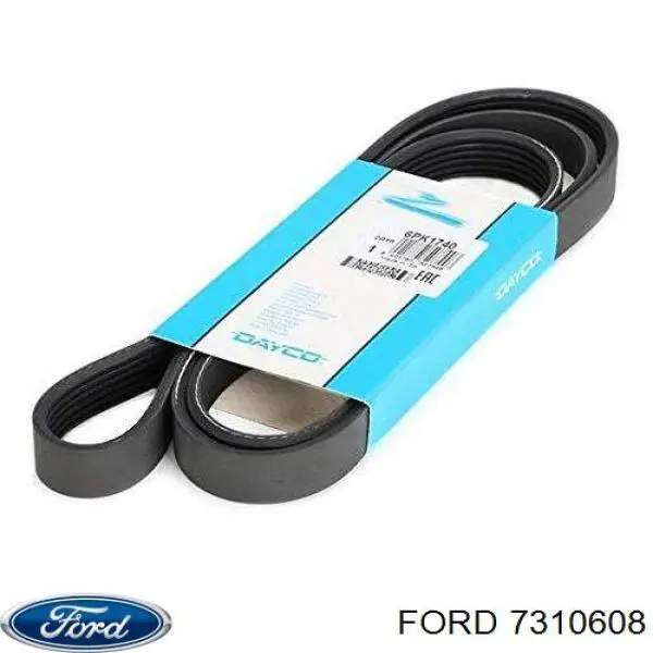 Клиновий ремінь Ford 7310608 ціна, від 13.90 USD