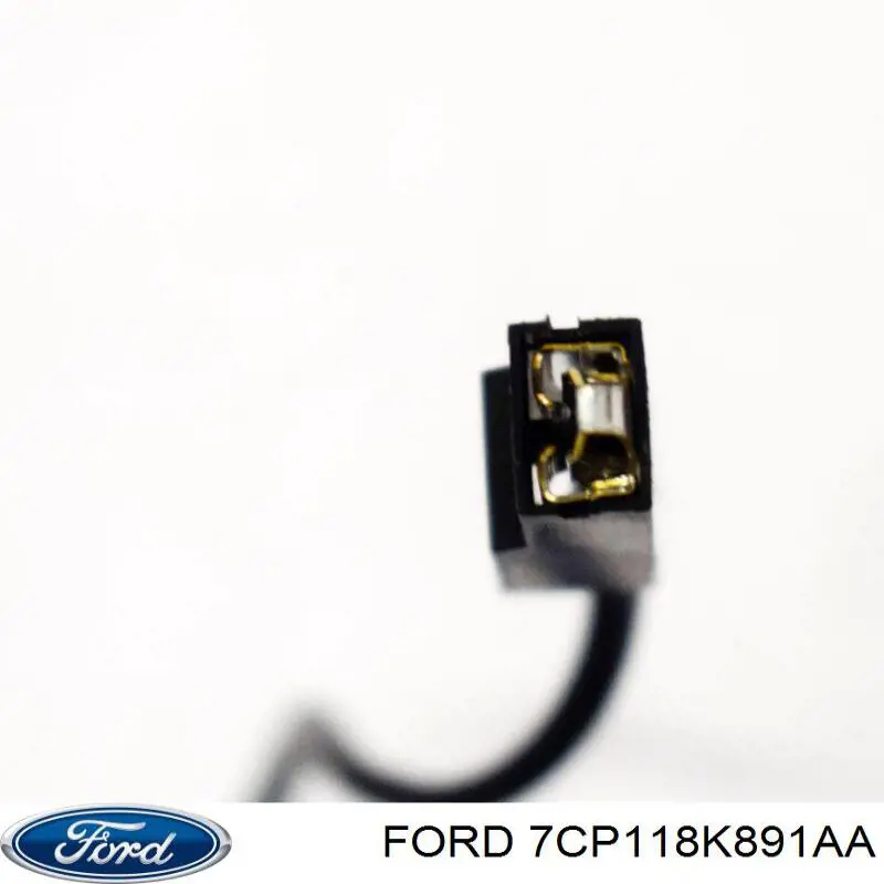  Ford 7CP118K891AA