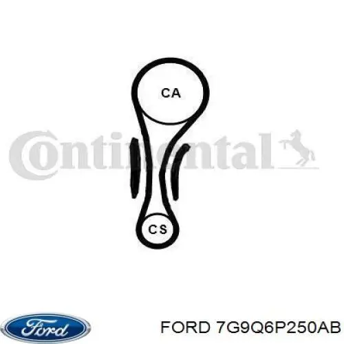 Купити 7G9Q6P250AB Ford ГРМ ремень