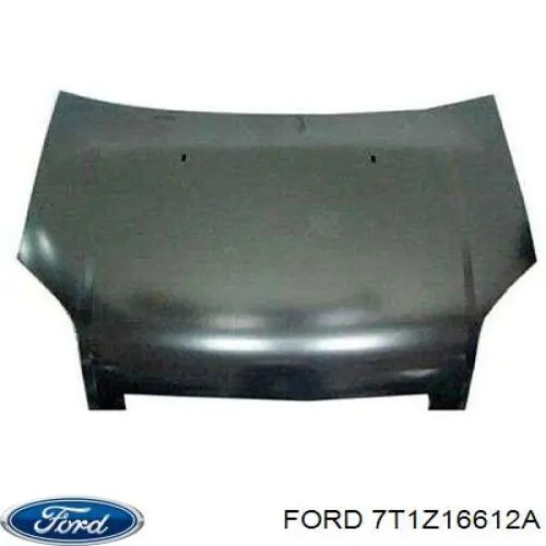 Капот Ford 7T1Z16612A ціна, від 127.82 USD
