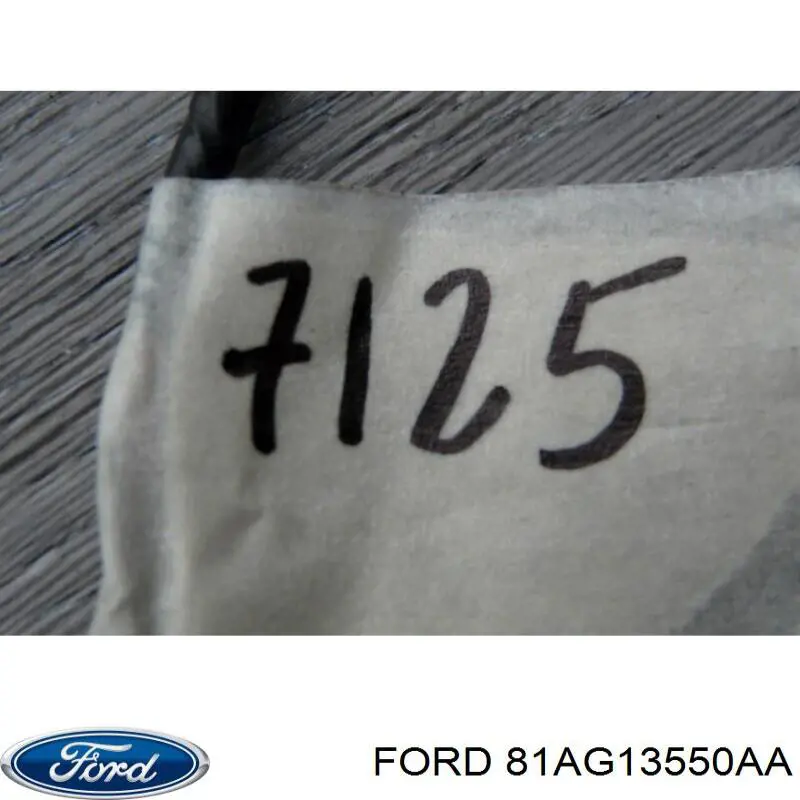 Купити 81AG13550AA Ford Ліхтар підсвічування заднього номерного знака