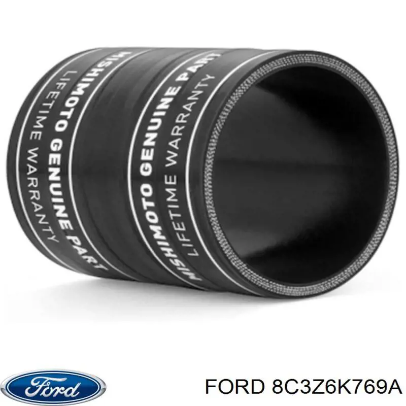 8C3Z6K769A Ford 