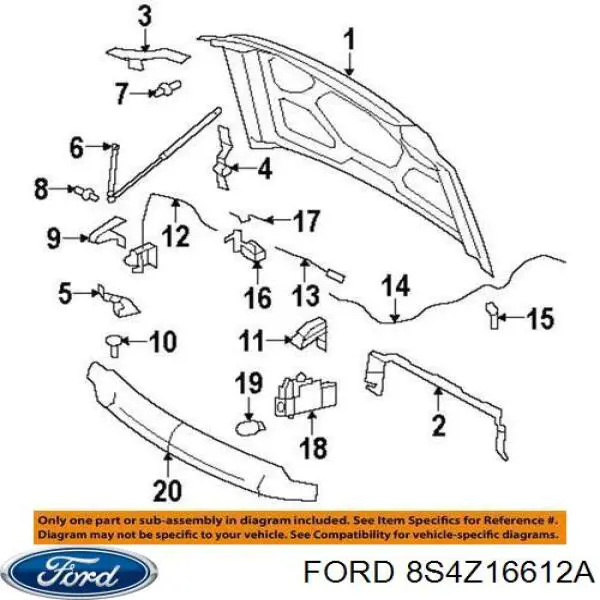Капот на Ford Focus SES 