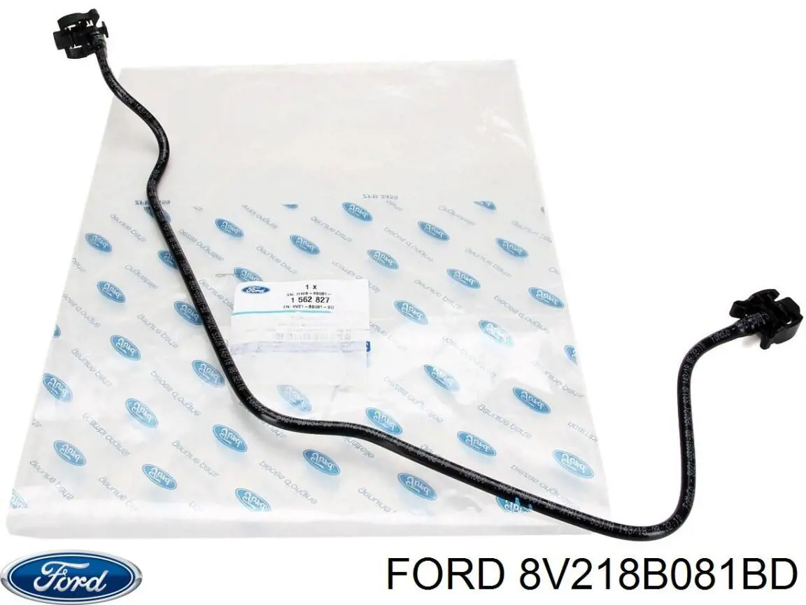 Шланг розширювального бачка, верхній Ford Fiesta 6 (CB1) (Форд Фієста)