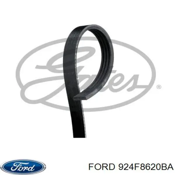 924F8620BA Ford Поліклиновий ремінь