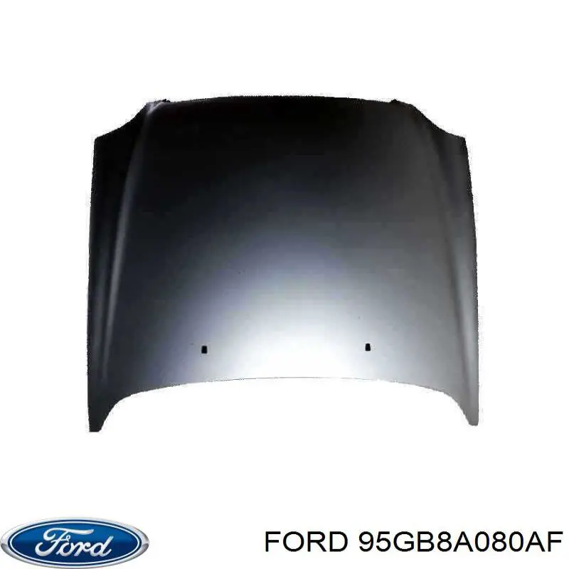 95GB8A080AF Ford Розширювальний бачок охолодження