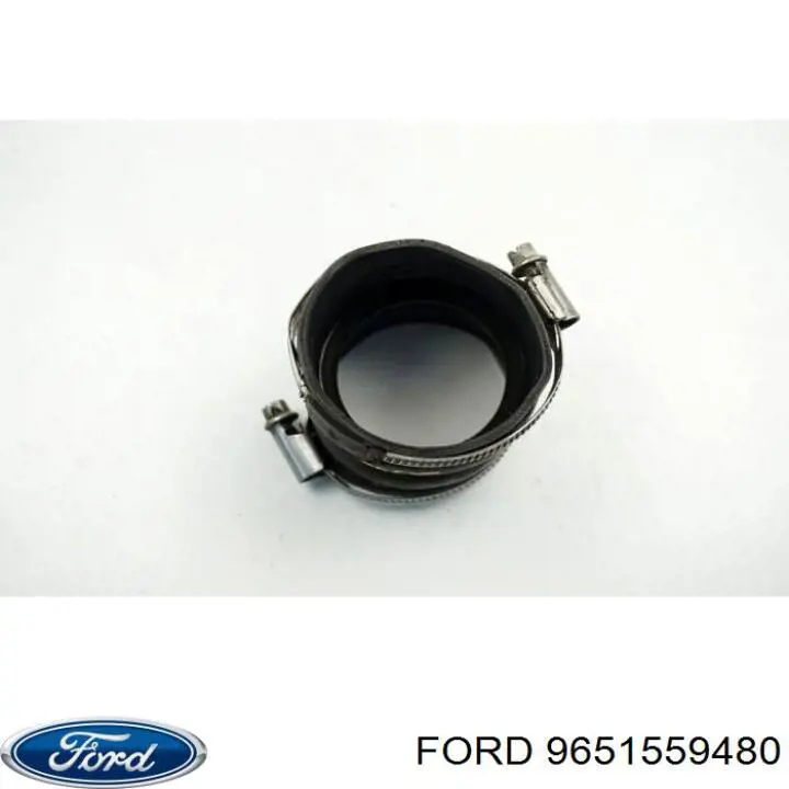  9651559480 Ford