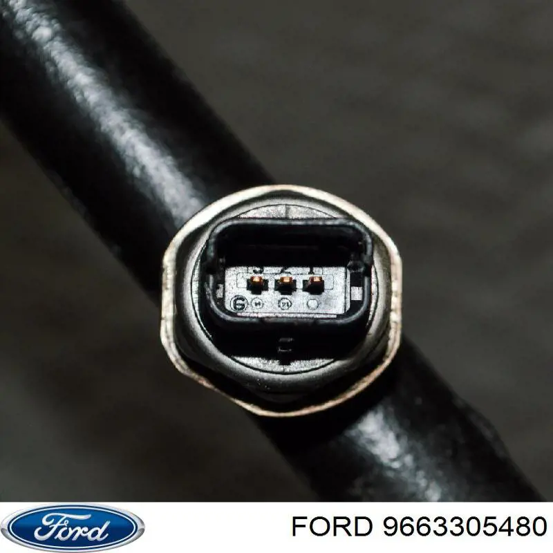 9663305480 Ford Манометри