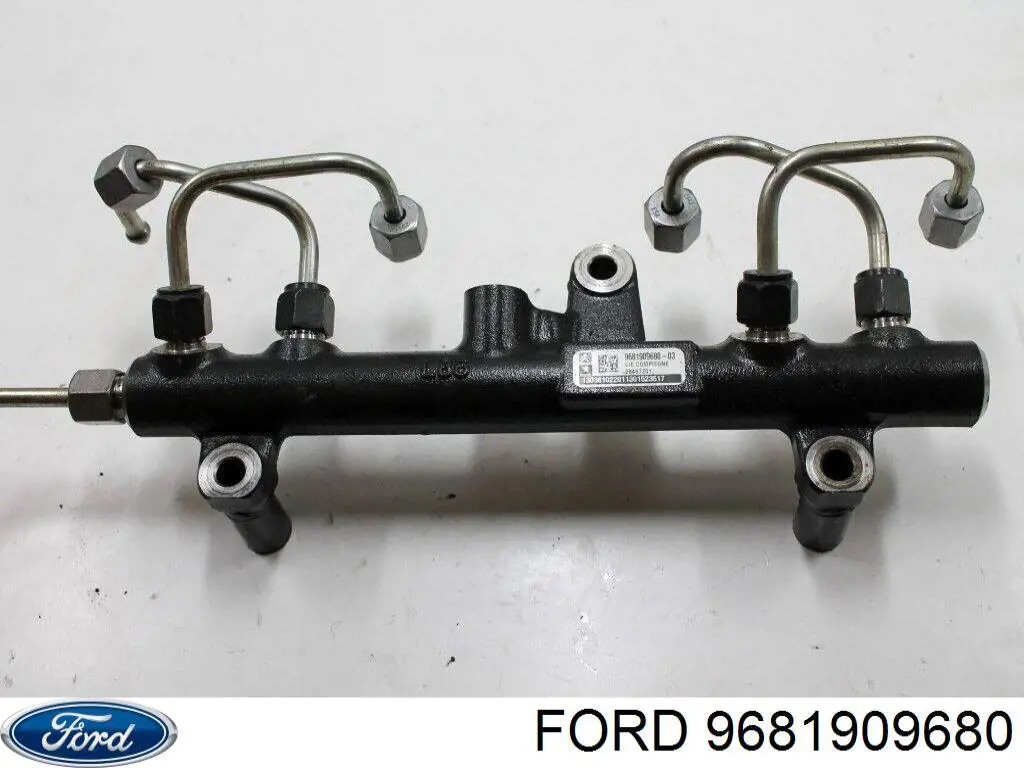 Розподільник палива на Ford C-Max (CB7)