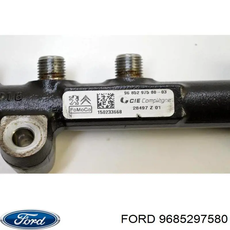 Паливна рампа Peugeot/Citroen 968475308002