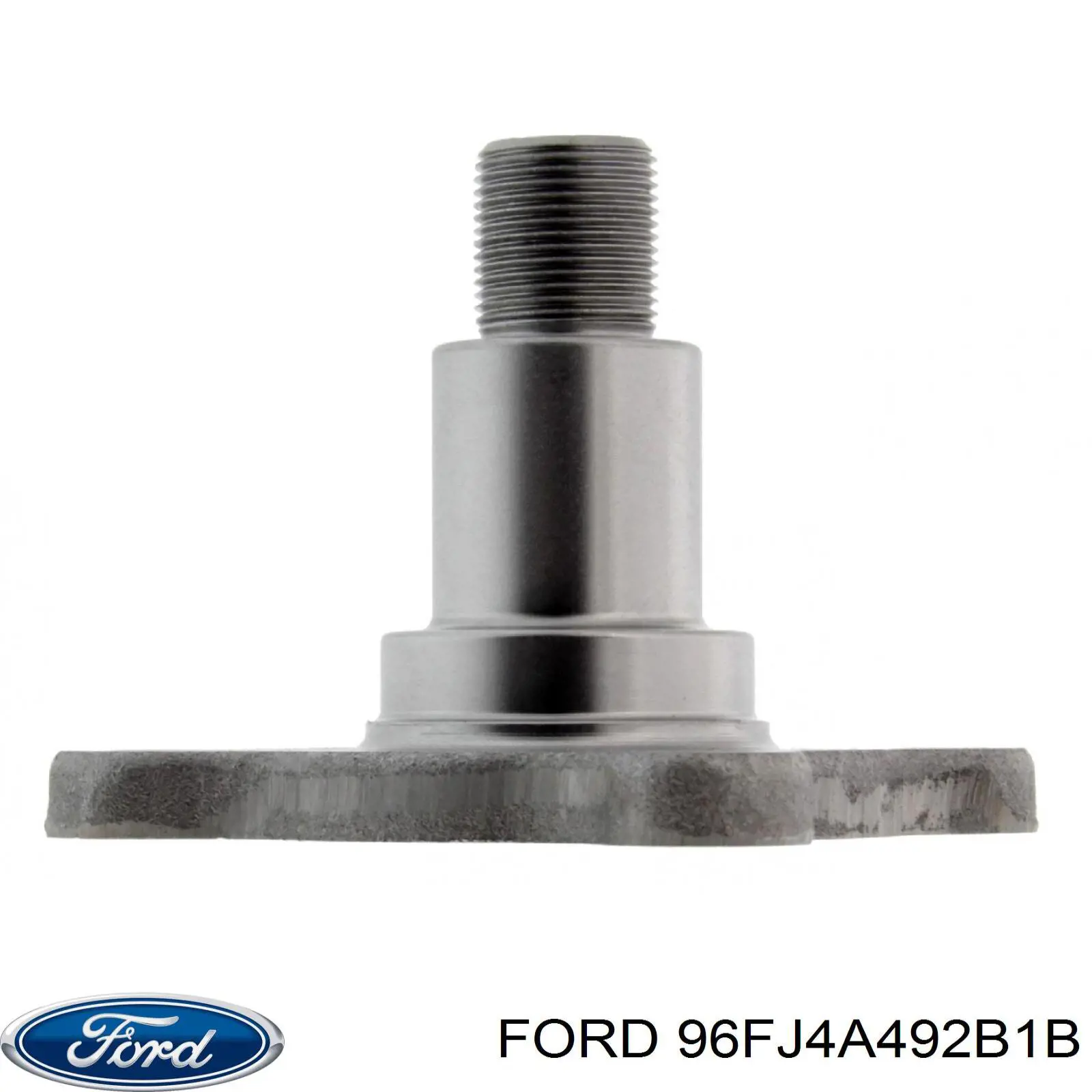 7314844 Ford Цапфа - поворотний кулак задній