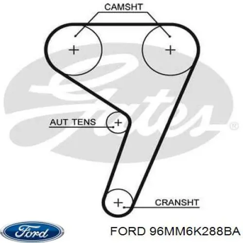 Купити 96MM6K288BA Ford Ремінь газорозподільного механізму
