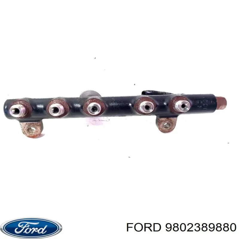 9802389880 Ford 