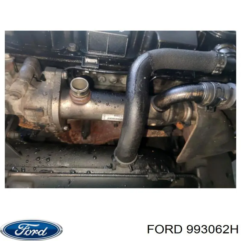 Купити 993062H Ford 