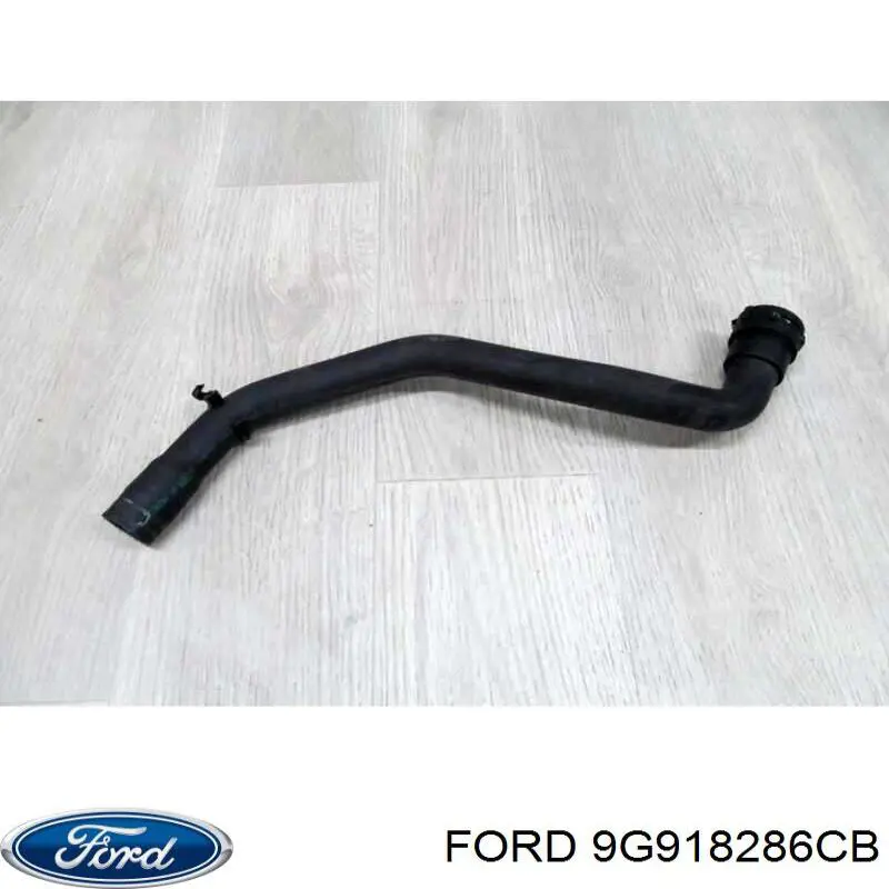 Купити 1683955 Ford Шланг/патрубок радіатора охолодження, нижній