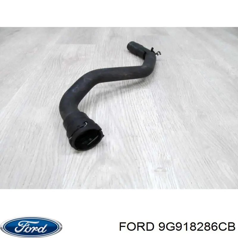 1683955 Ford Шланг/патрубок радіатора охолодження, нижній