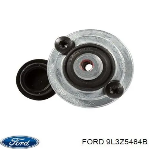 9L3Z5484B Ford 