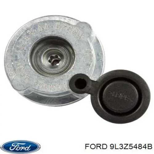 Купити 9L3Z5484B Ford 