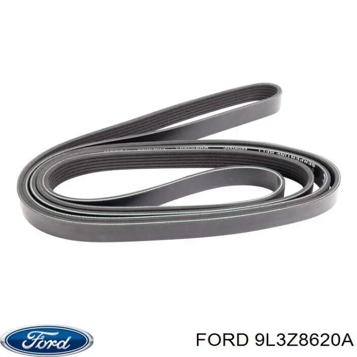 Купити 9L3Z8620A Ford Ремінь генератора