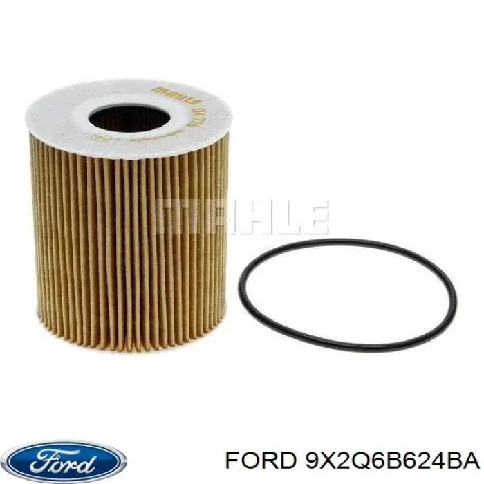 Масляний фільтр двигуна Ford 9X2Q6B624BA ціна, від 9.37 USD