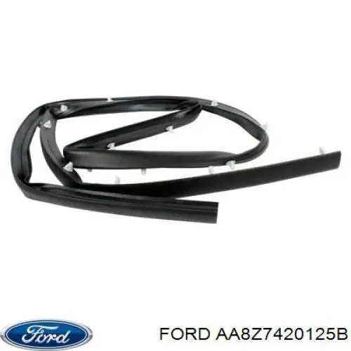 AA8Z7420125B Ford Дверь передня ліва