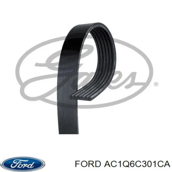 Клиновий ремінь Ford AC1Q6C301CA ціна, від 16.23 USD