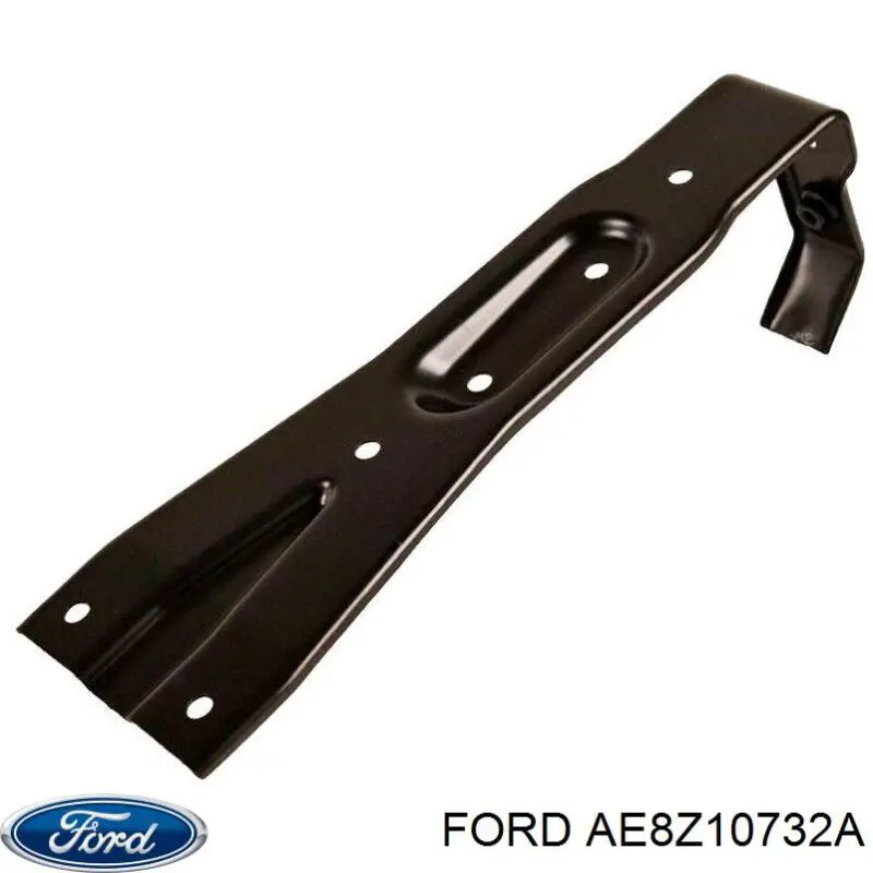 Купити AE8Z10732A Ford 