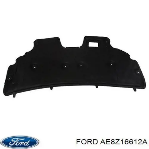 Капот Ford AE8Z16612A ціна, від 253.66 USD