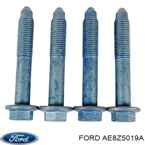 AE8Z5019A Ford 