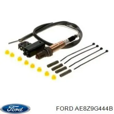 AE8Z9G444B Ford 
