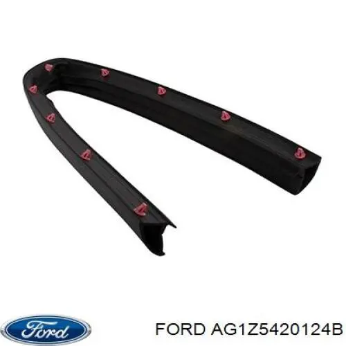  AG1Z5420124B Ford