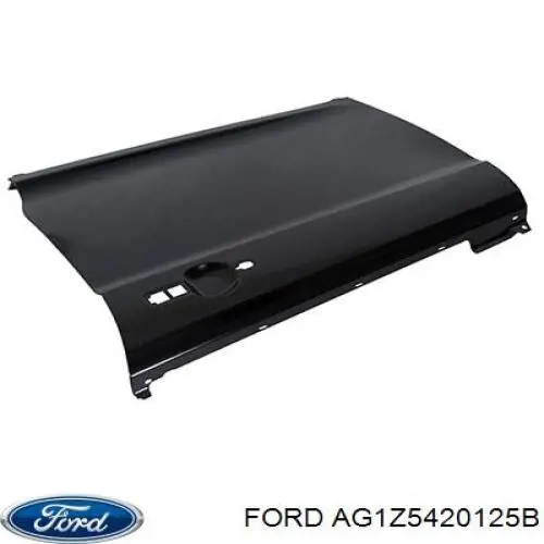 AG1Z5420125B Ford 