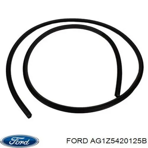  Ford AG1Z5420125B ціна, від 442.00 USD