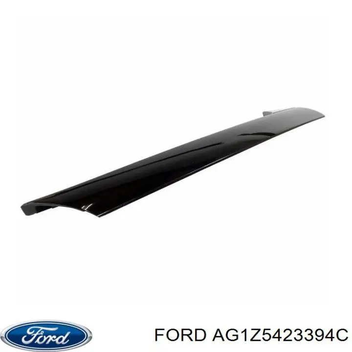 AG1Z5423394C Ford 