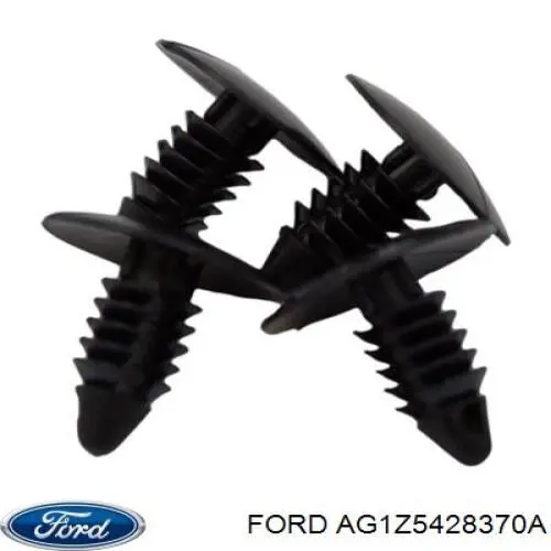 AG1Z5428370A Ford 