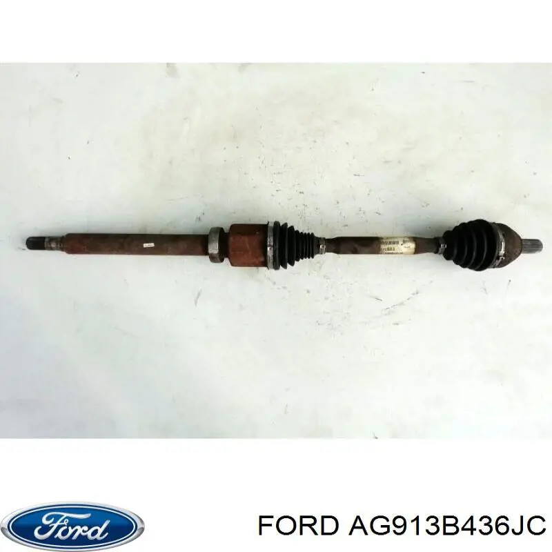 AG913B436JC Ford 
