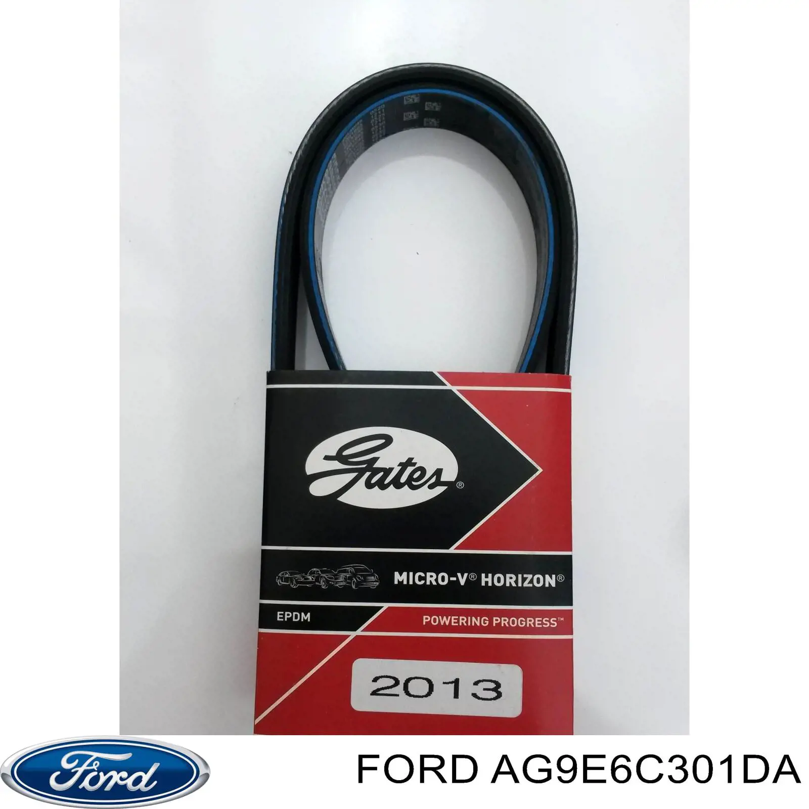Клиновий ремінь Ford AG9E6C301DA ціна, від 35.49 USD