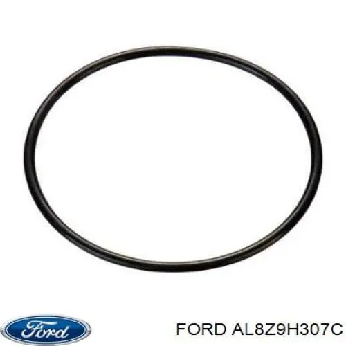 Купити AL8Z9H307C Ford 