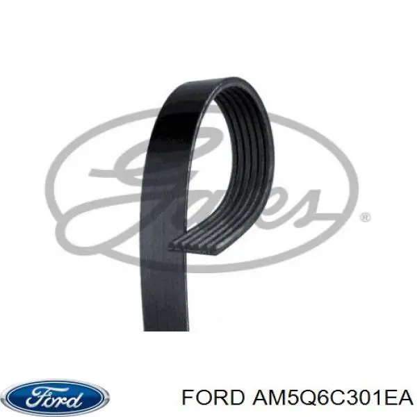 Купити AM5Q6C301EA Ford Ремінь генератора