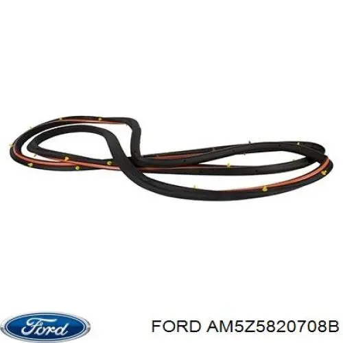 AM5Z5820708B Ford Прокладка дверей передніх правих