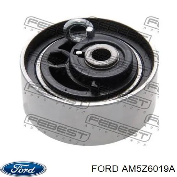 AM5Z6019A Ford