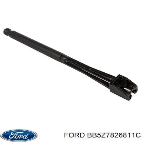 Купити BB5Z7826811C Ford Завіса дверей задніх лівих