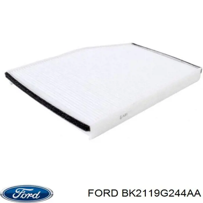 BK2119G244AA Ford Внутрішньосалонний фільтр