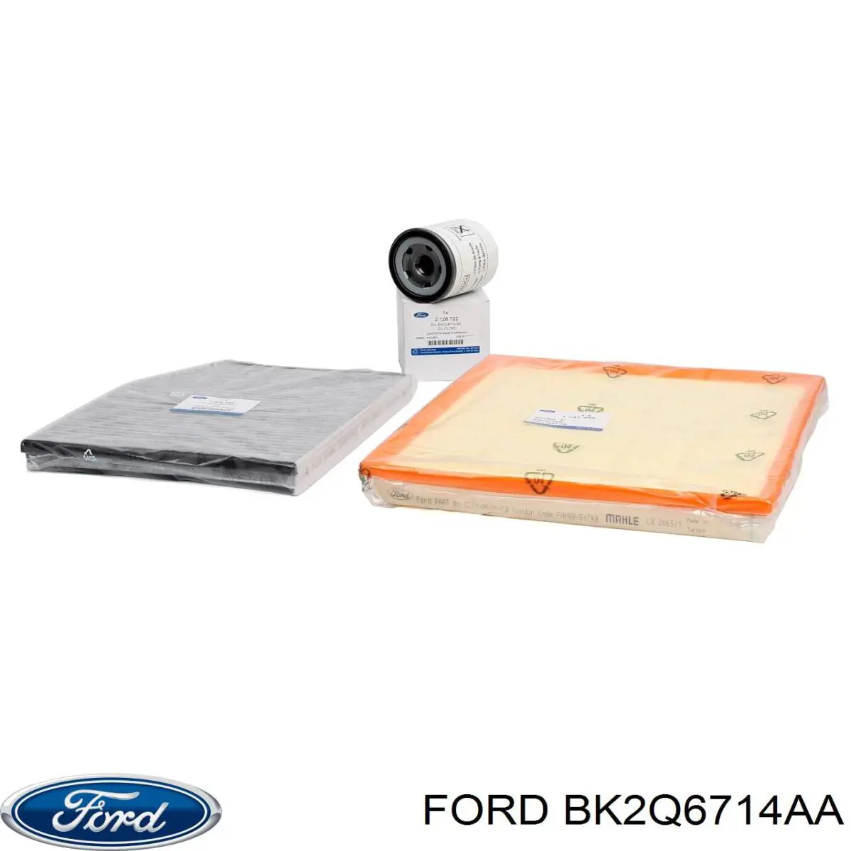 Купити BK2Q6714AA Ford Фільтр очищення масла відцентровий