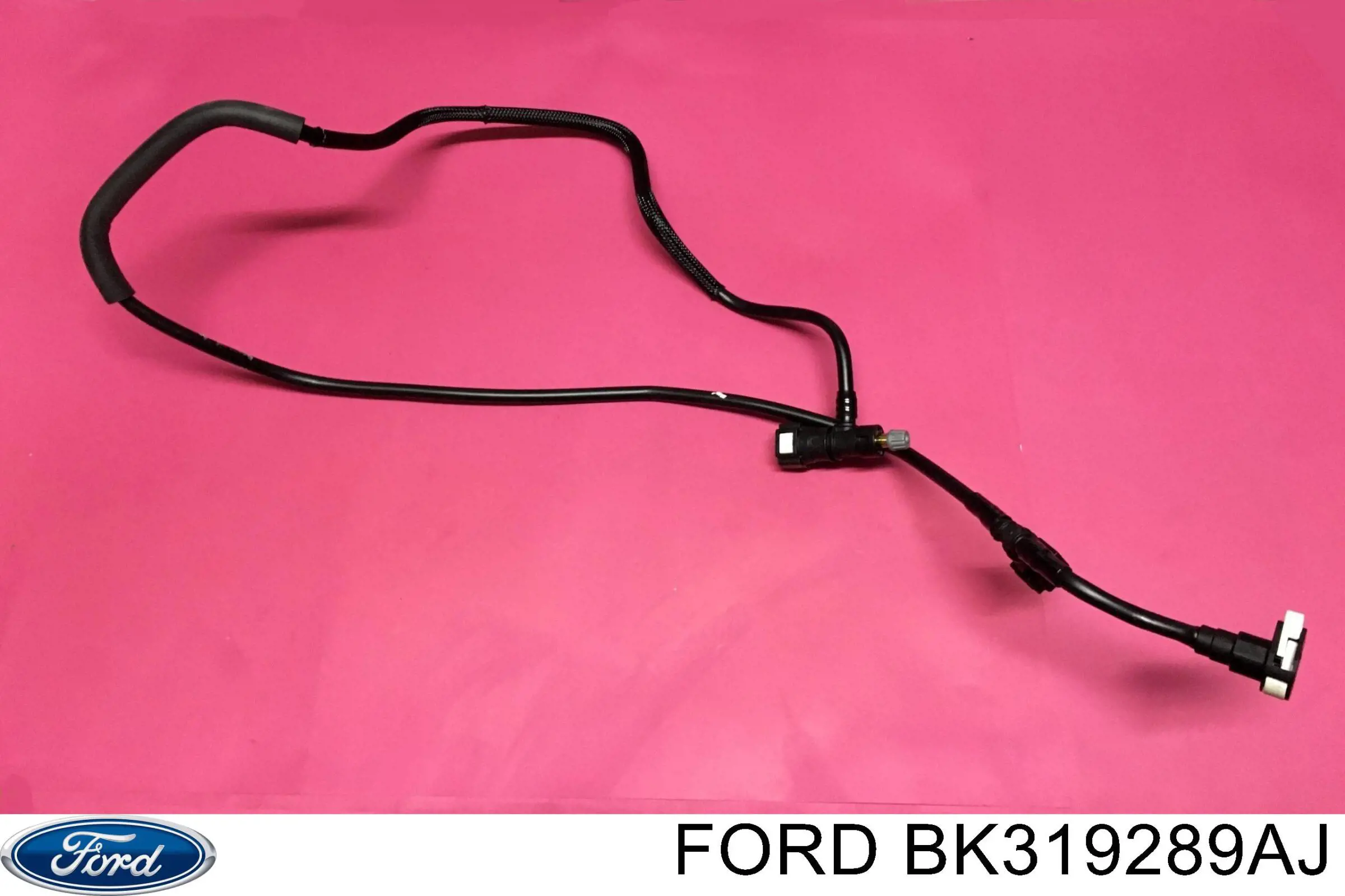 Трубка паливна, від фільтра до насосу Ford BK319289AJ ціна, від 16.06 USD