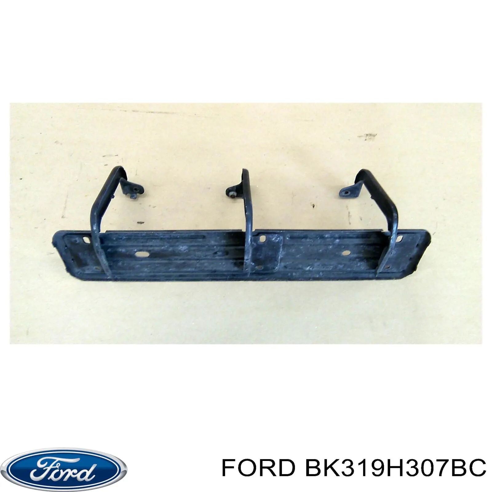  BK319H307BC Ford