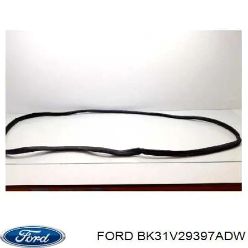  BK31V29397ADW Ford